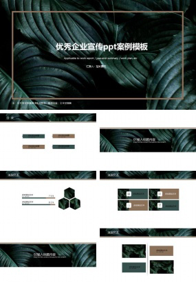 优秀企业宣传ppt案例模板